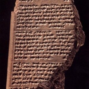 The Core Curriculum replica