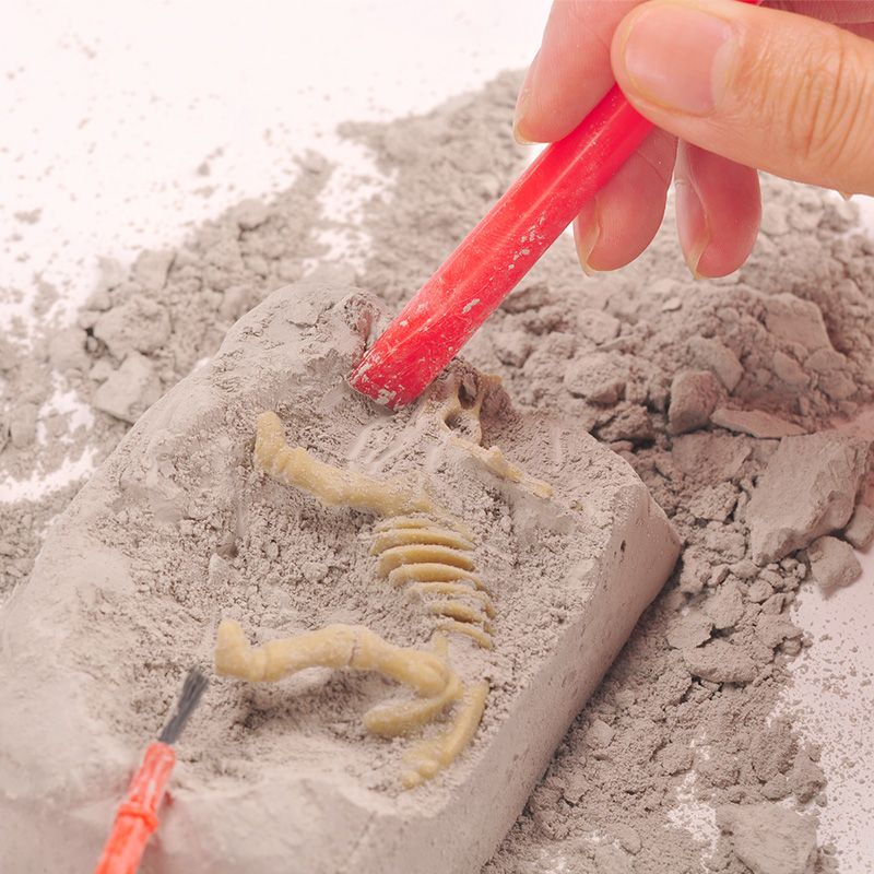 Junior Excavation Kit - Image 3